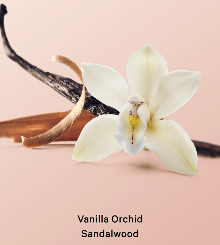 Body Care Vanilla Orchid Sandalwood Hydrating Body Lotion